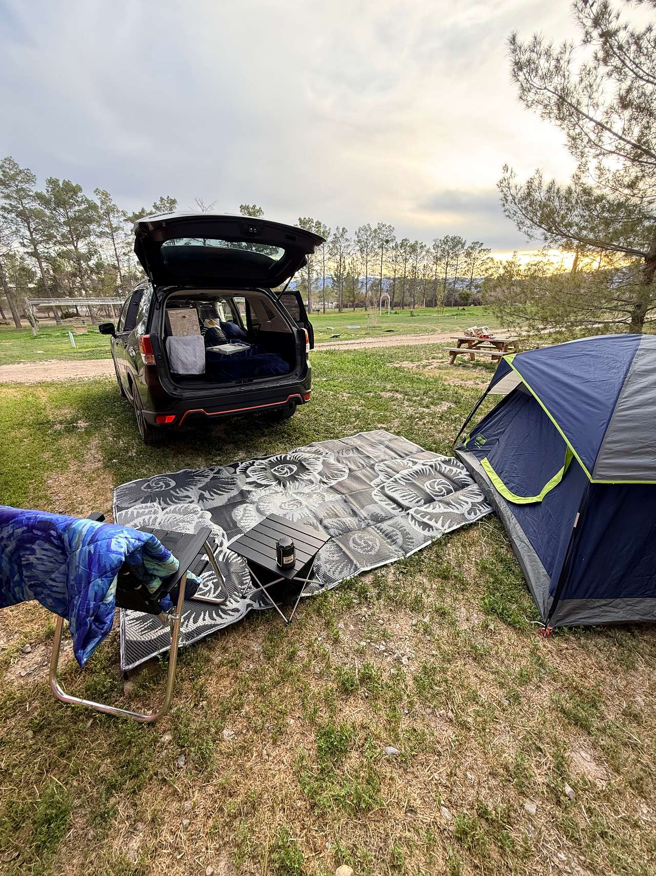 The Alchemist