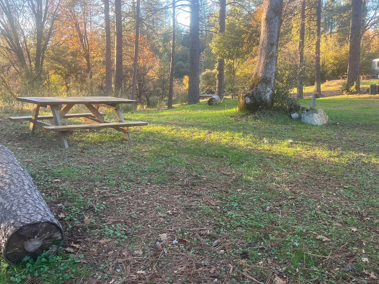 Sierra Waters Homestead