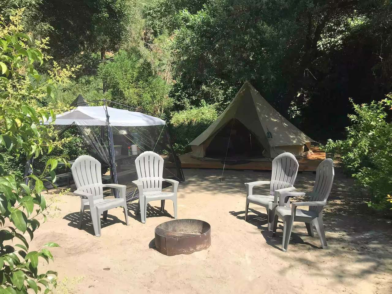 Picture of the site