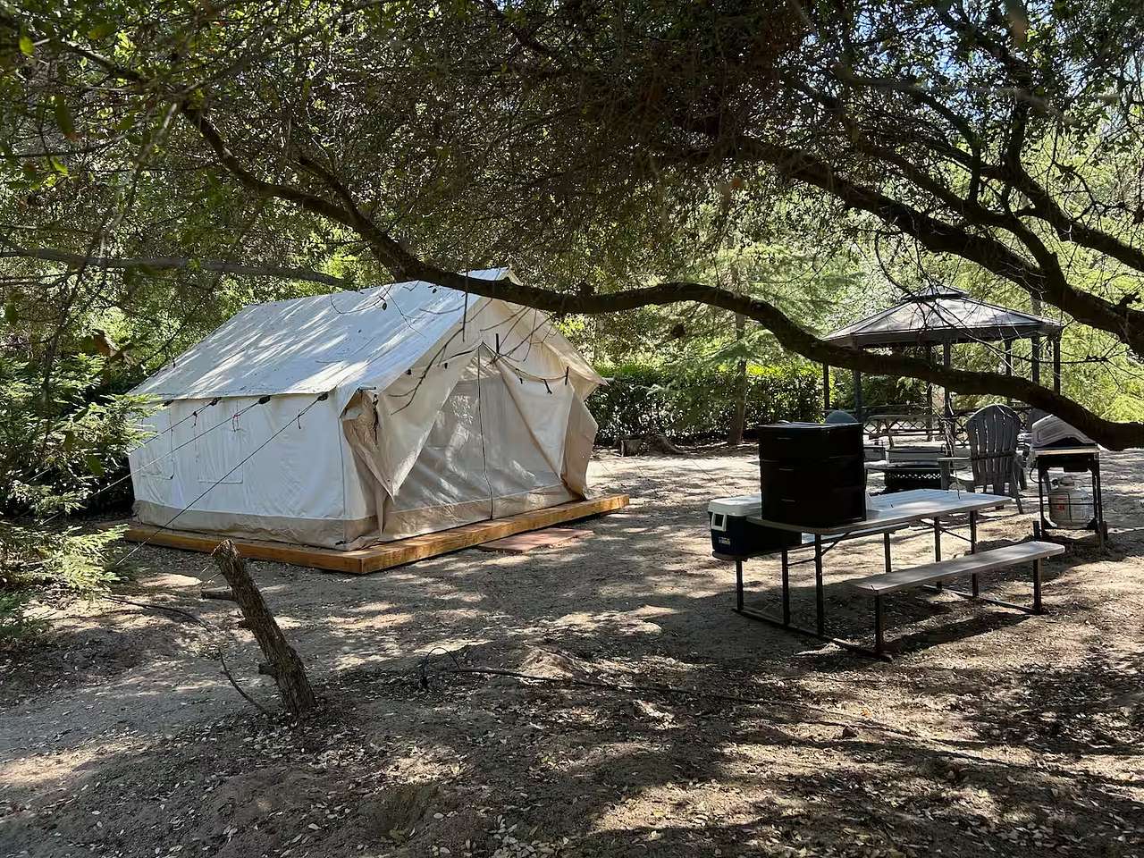 Picture of the site