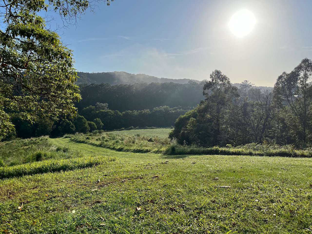Picture of the site