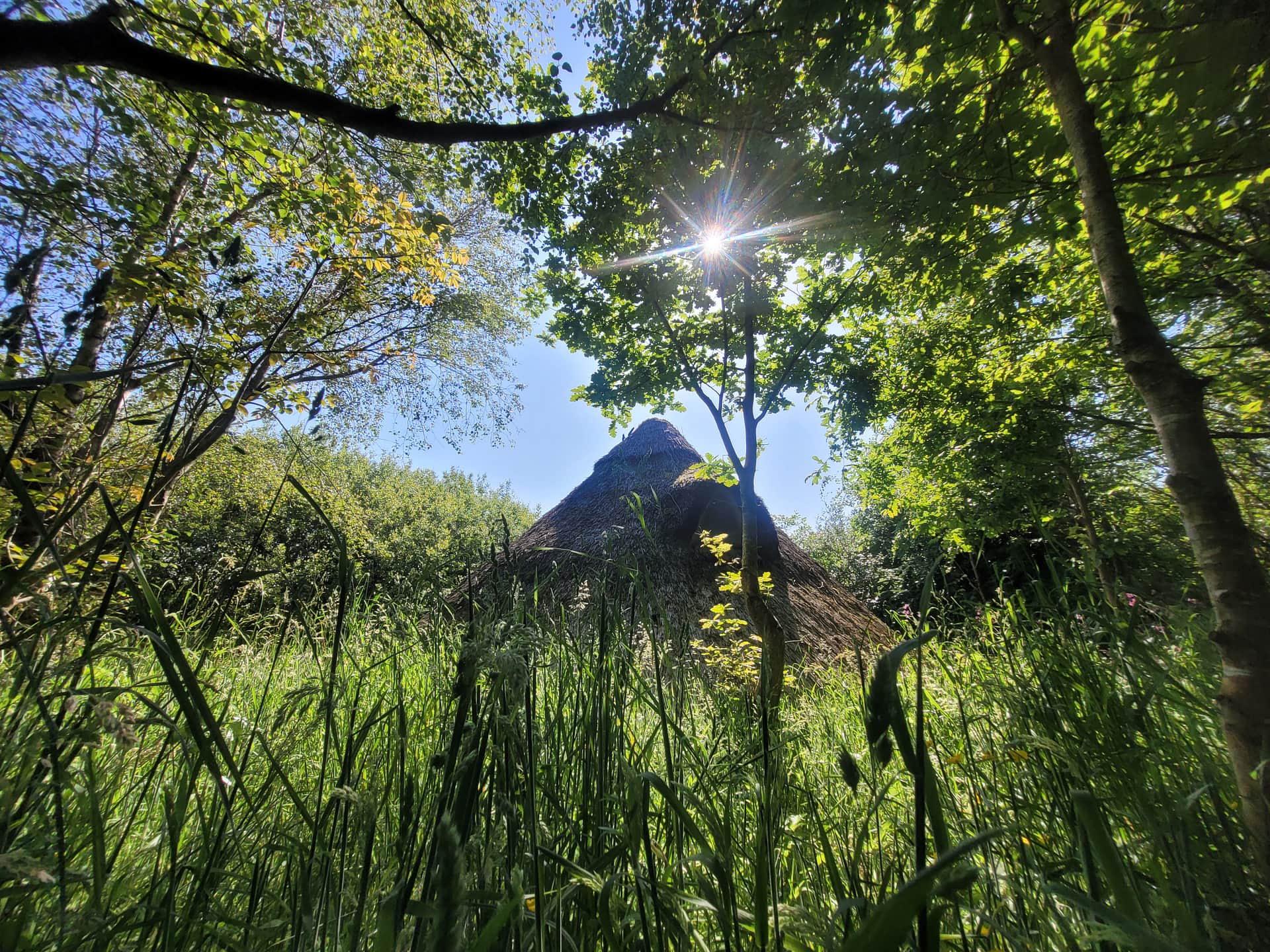 Felin Uchaf Meadow Camping