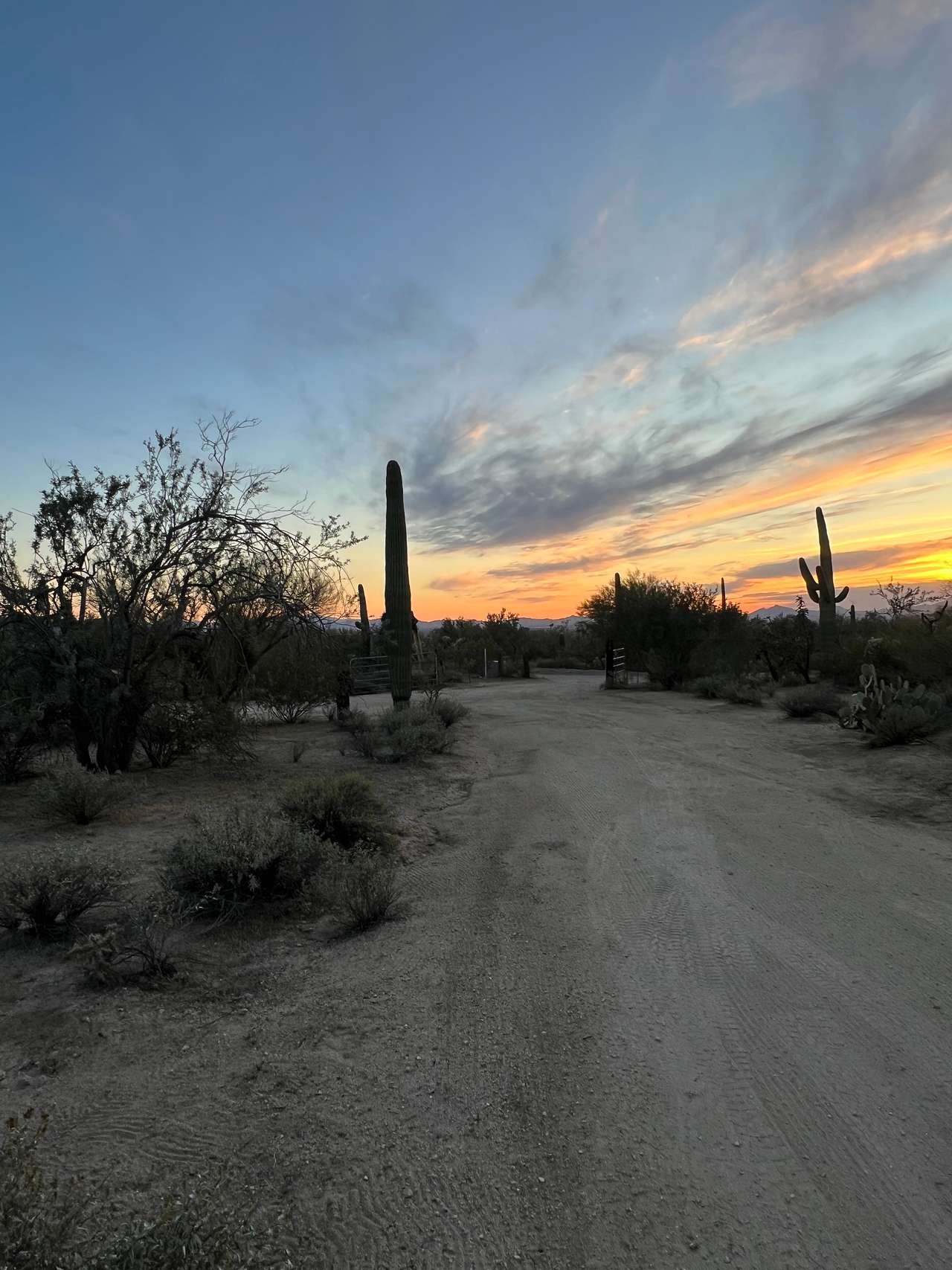 Wild Burro Desert Retreat