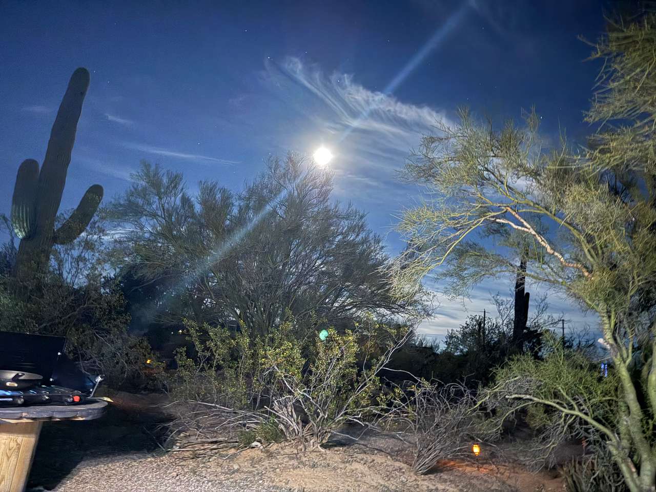 Camp Saguaro