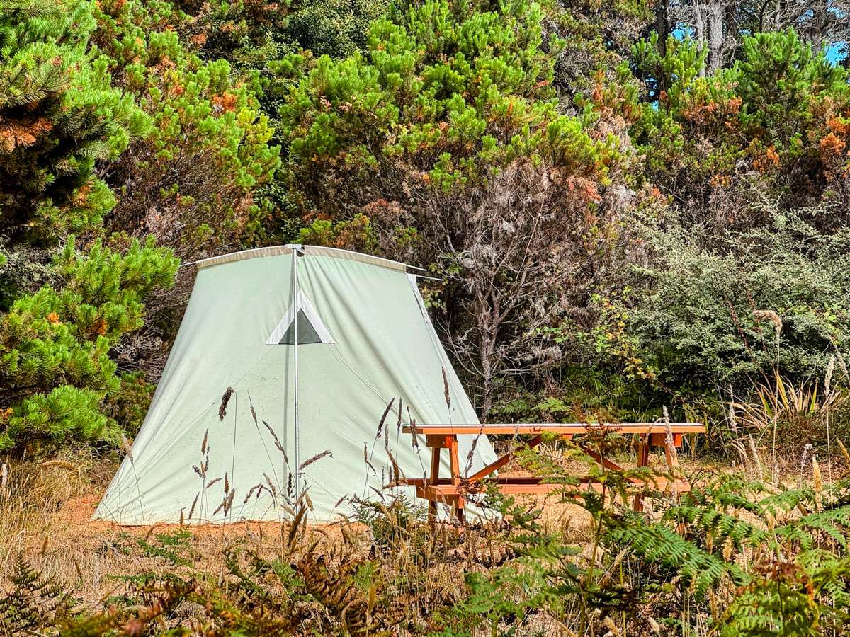 Camp Candy Cap - Coastal Paradise