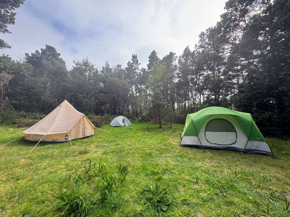 Camp Candy Cap - Coastal Paradise