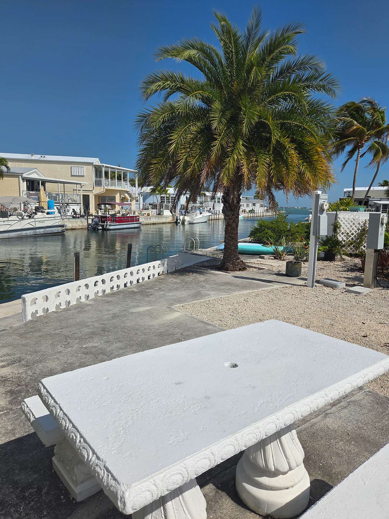 Little Palm By The Sea