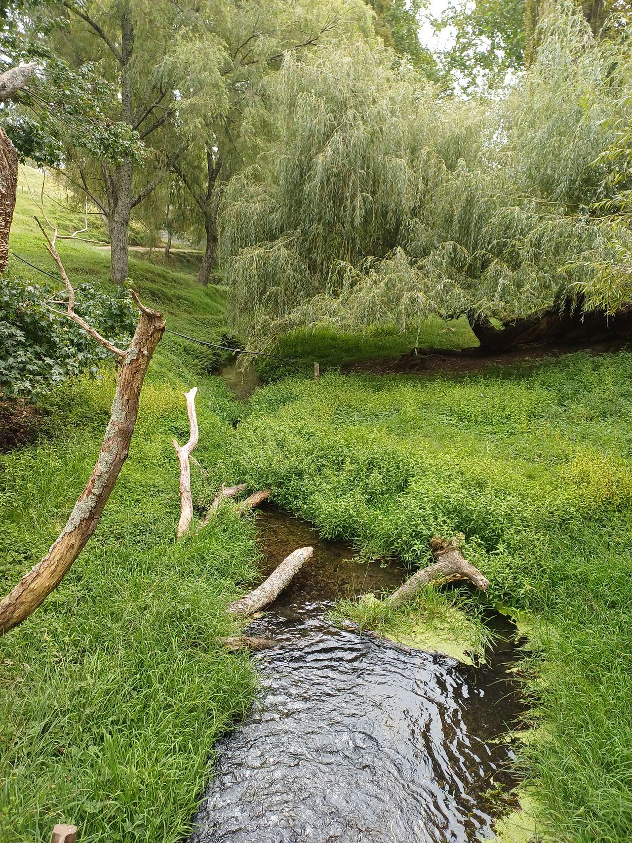 Clearbrook Farm