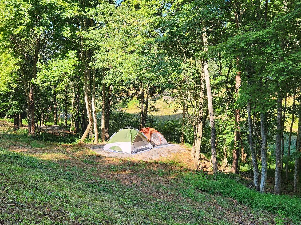 Picture of the site