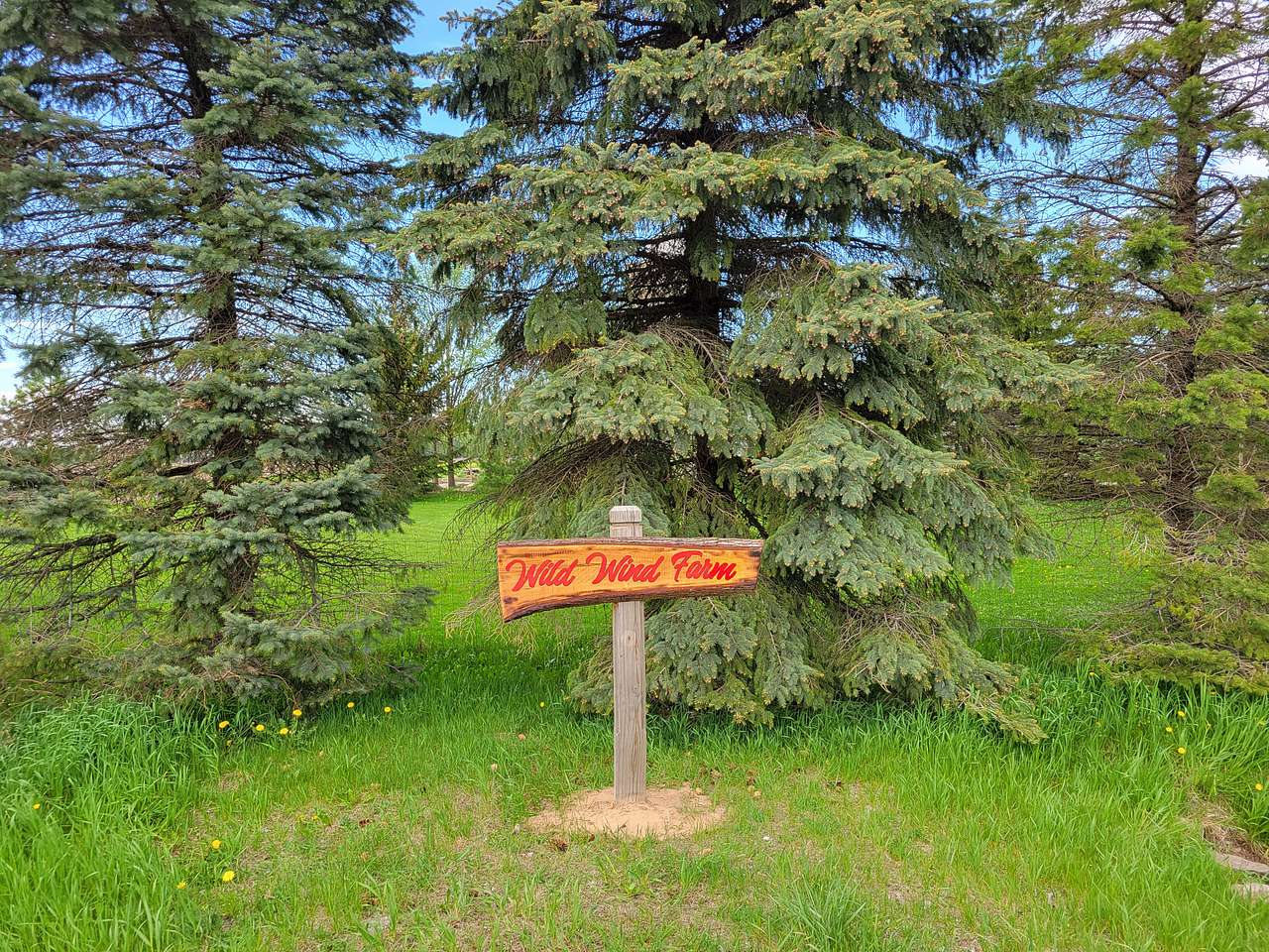 Wild Wind Sanctuary Camping