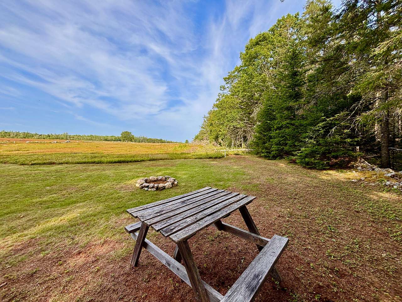 Maine Wild Blueberry Bliss