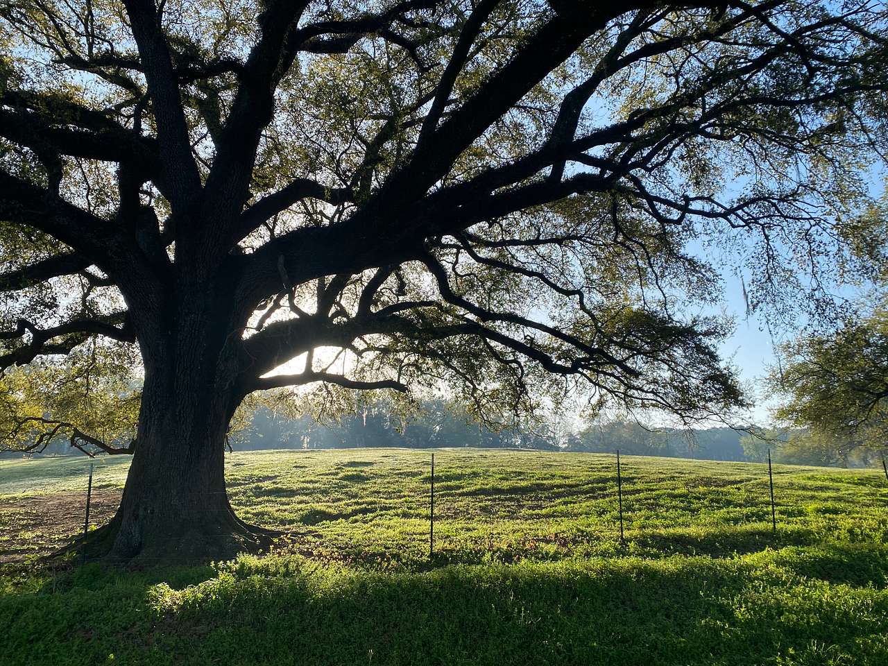 Mahan Farm Camping