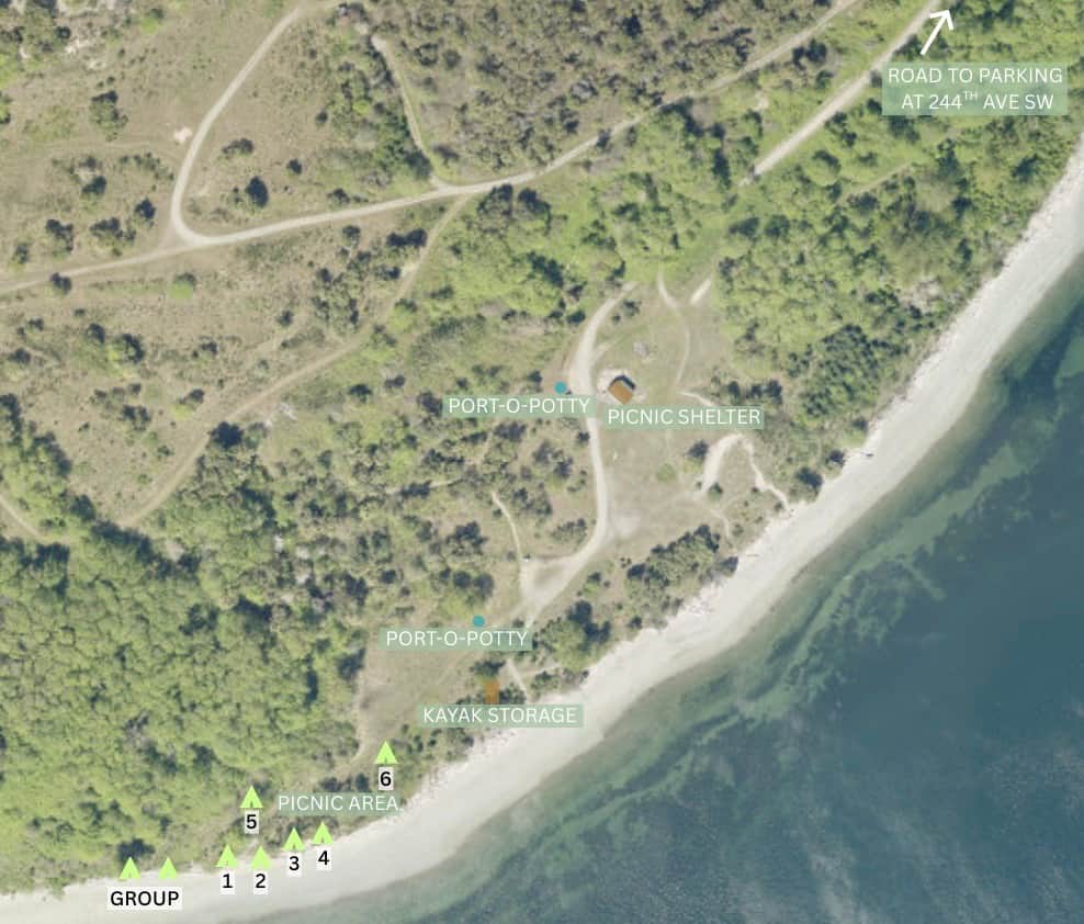 Picture of the site