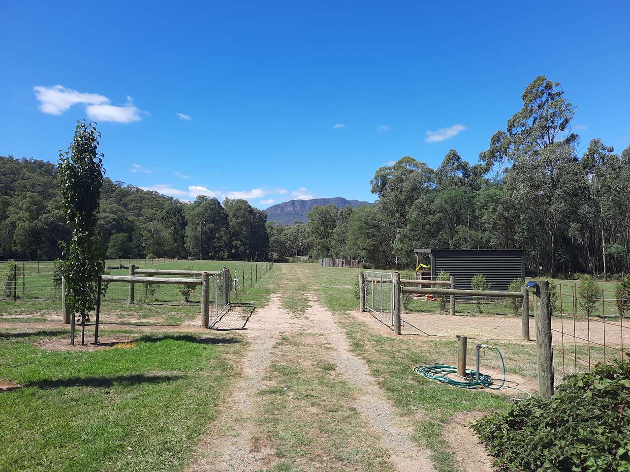 Galea Ranch