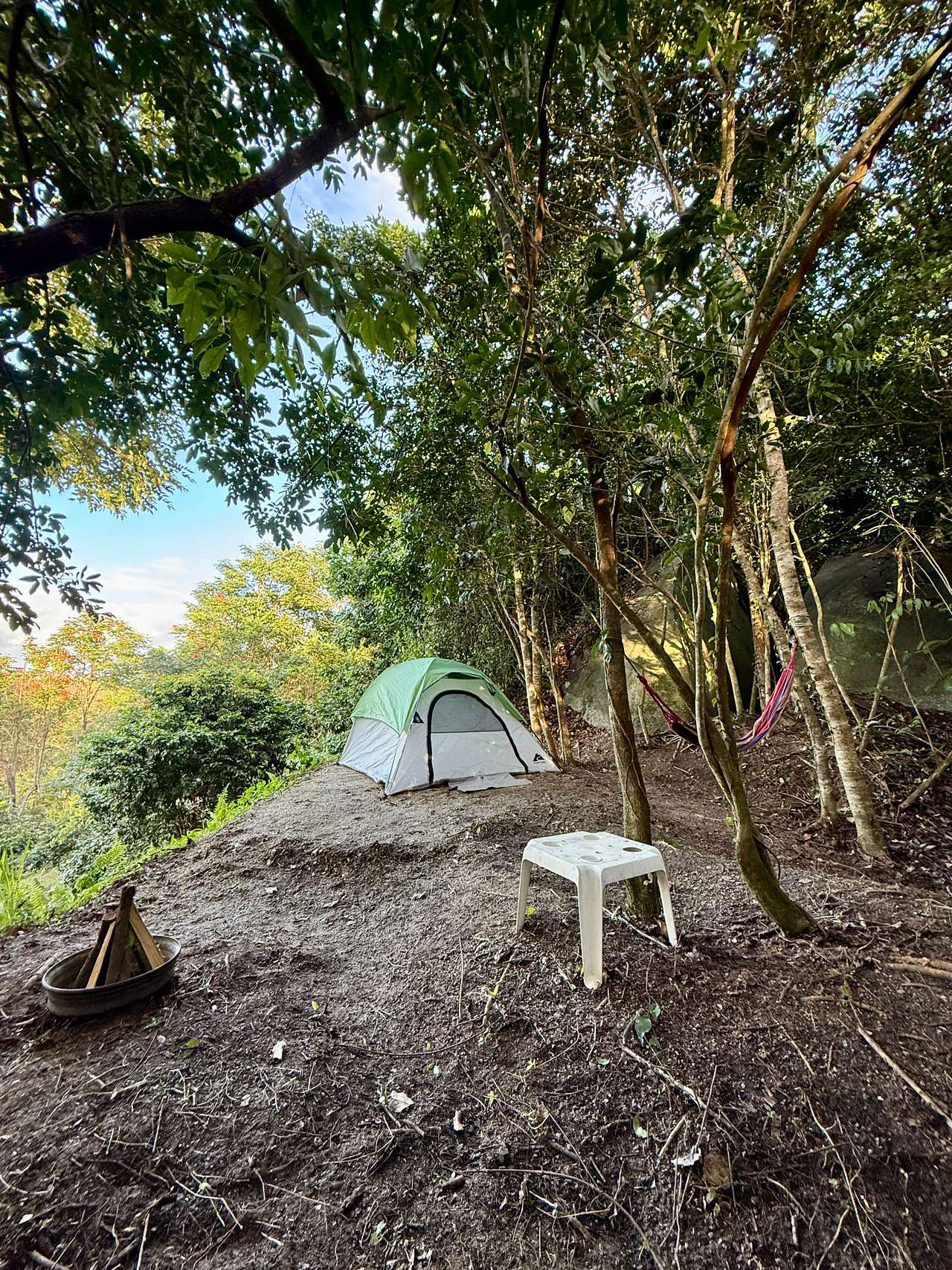 Picture of the site