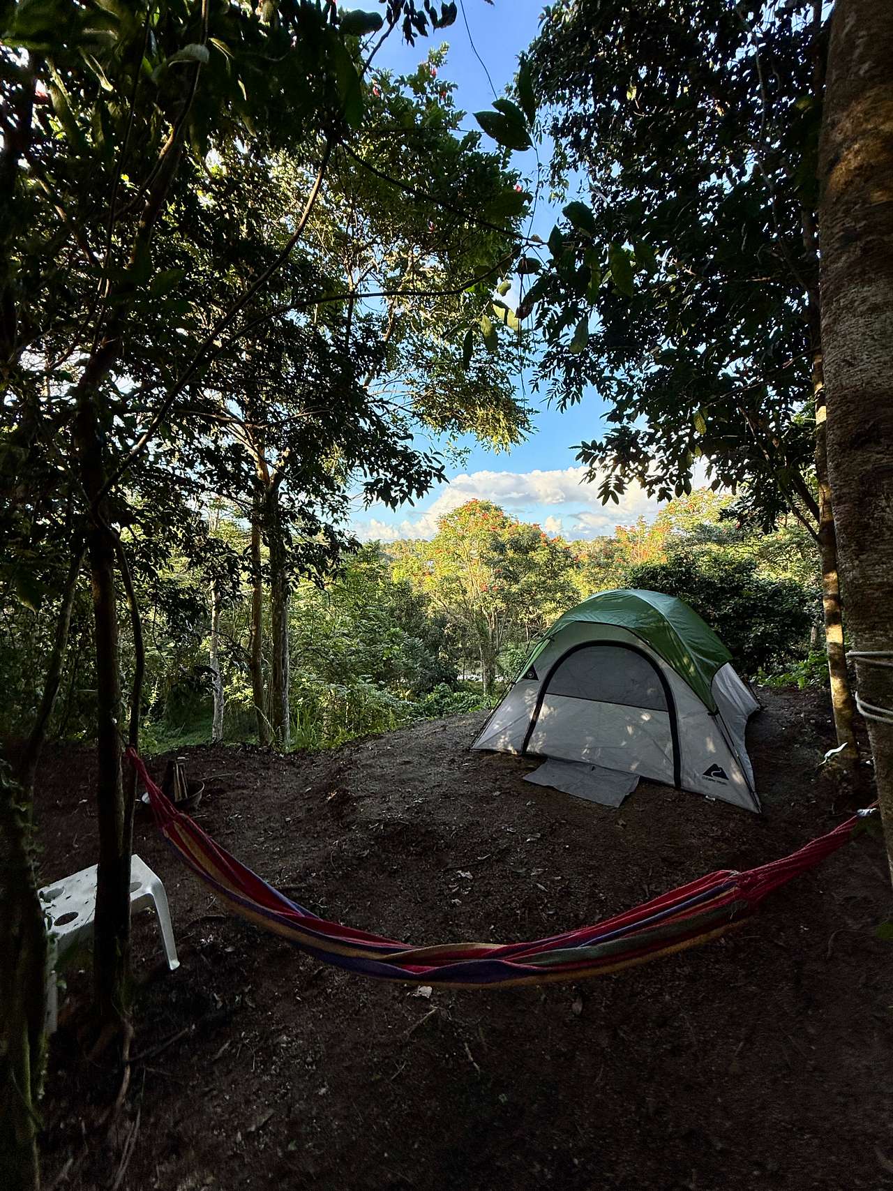 Picture of the site