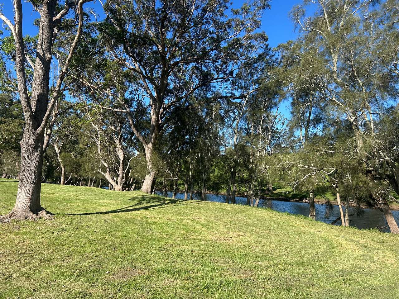 Stony Creek Camping
