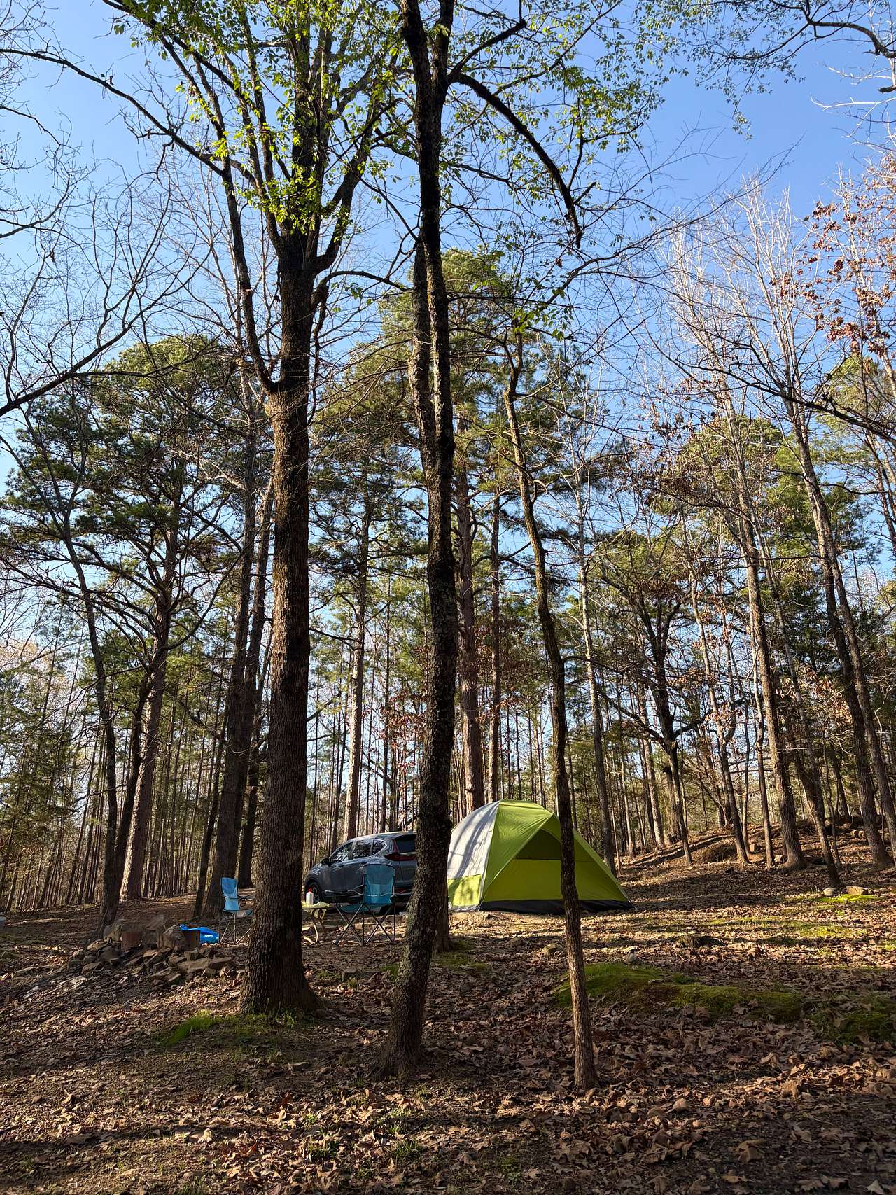 Bluegill Hill
