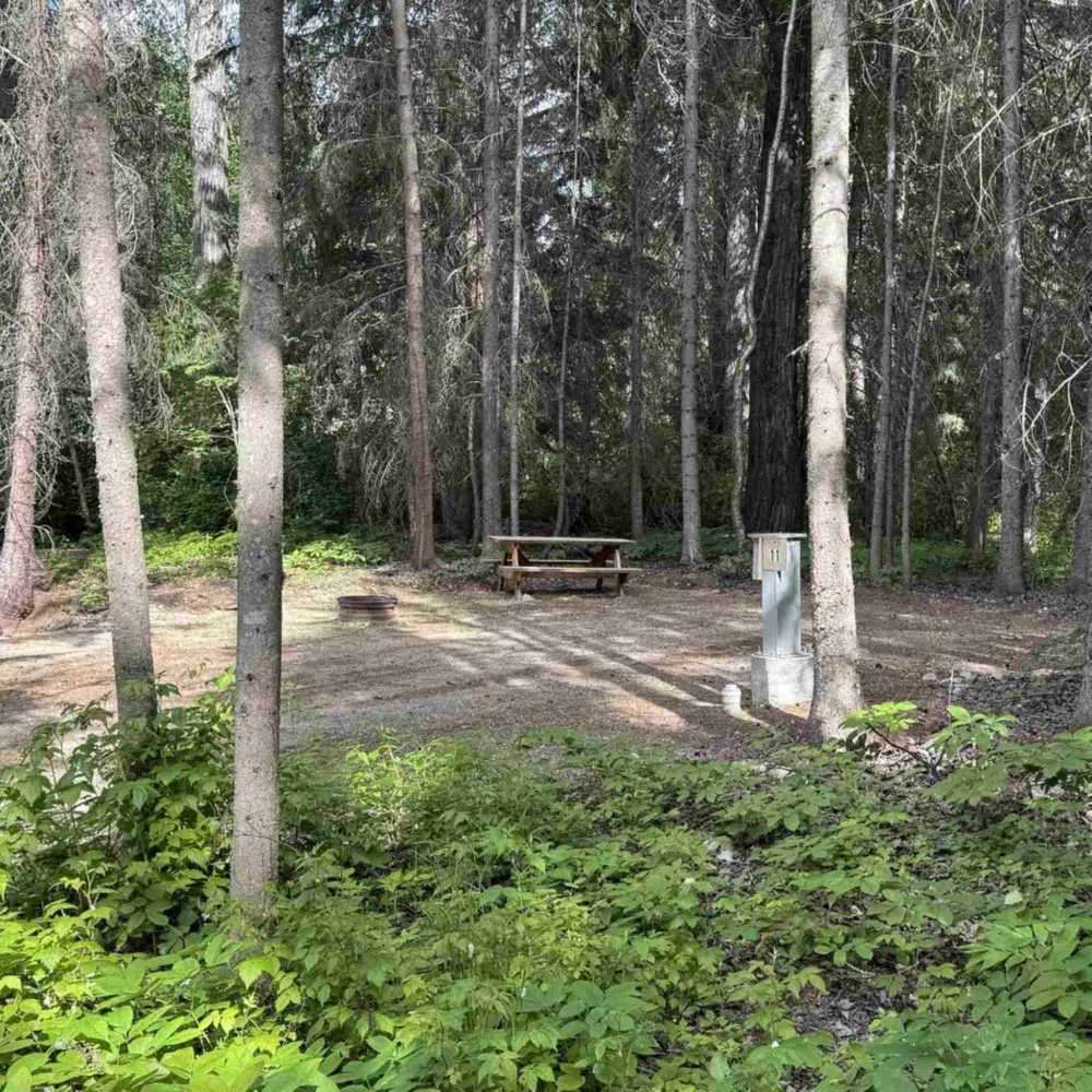 Swift Creek Resort