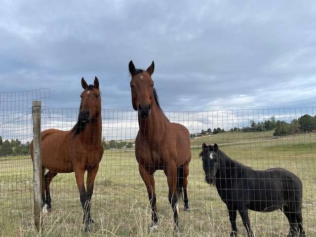 Three Horses RV Spot