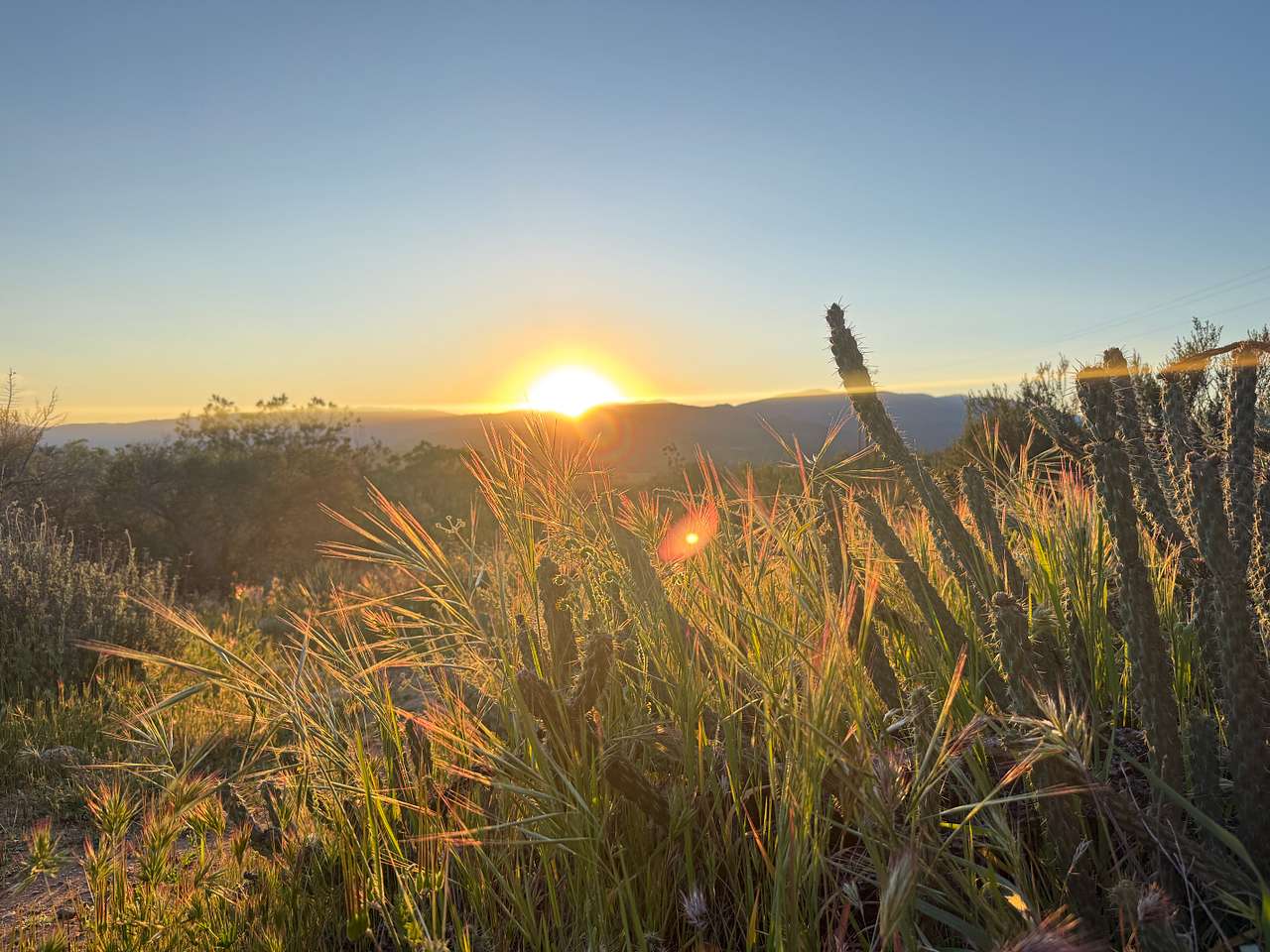 Manzanita Village Retreat