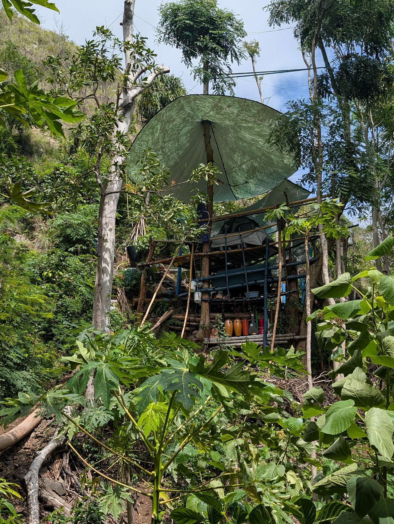 Waipio Farm To Table