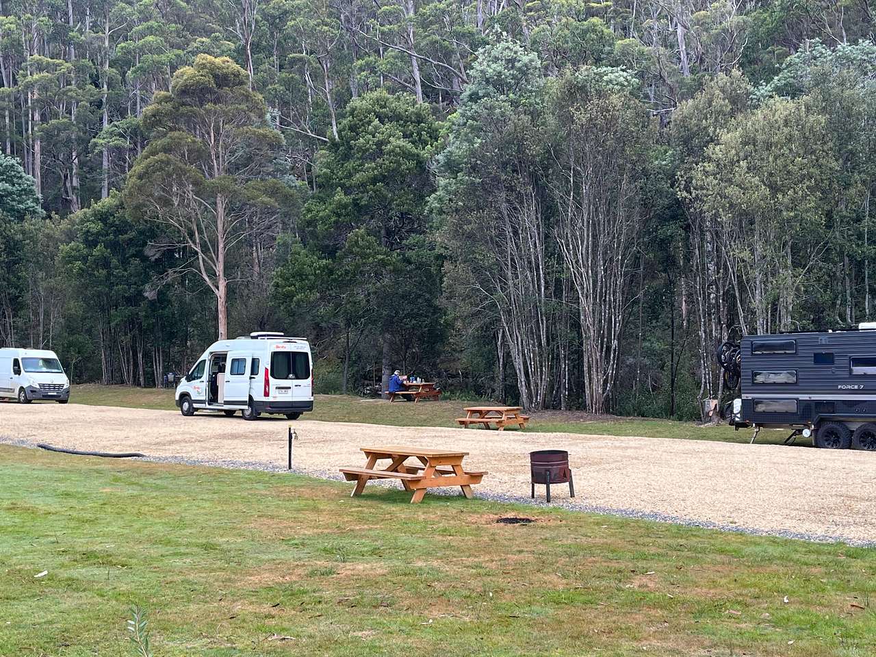 Campsites along the stream