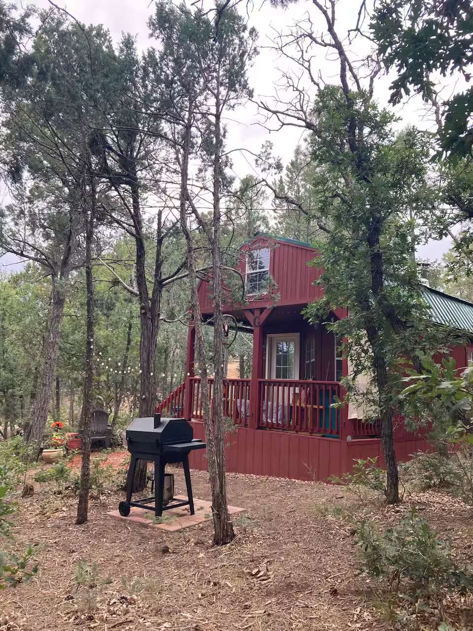 “Glamping” in the tall pines