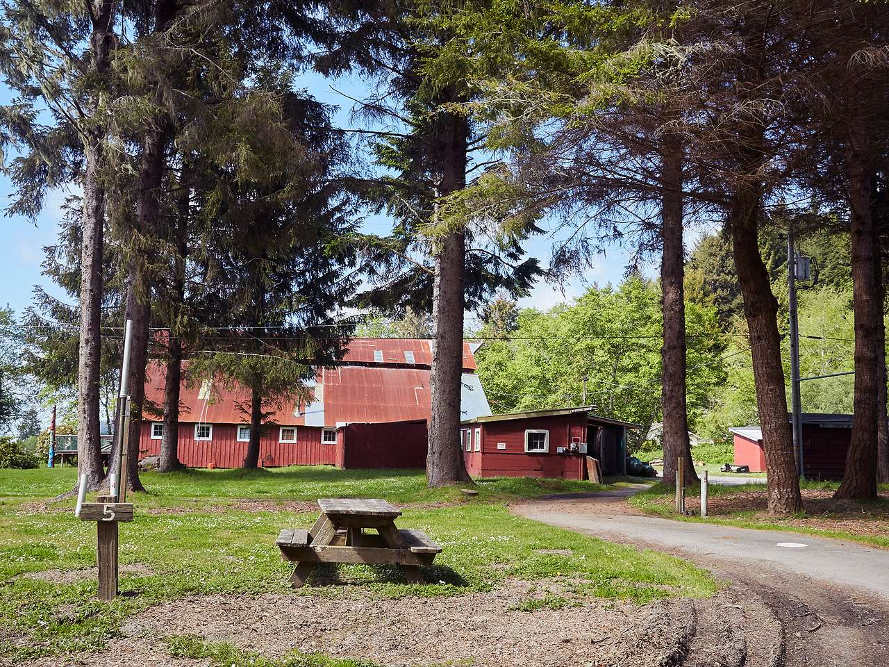 Picture of the site