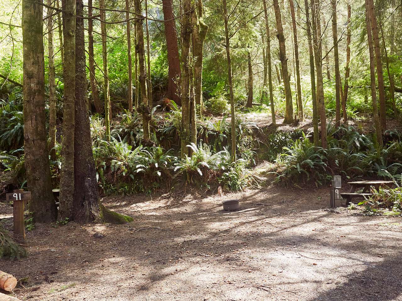 Picture of the site