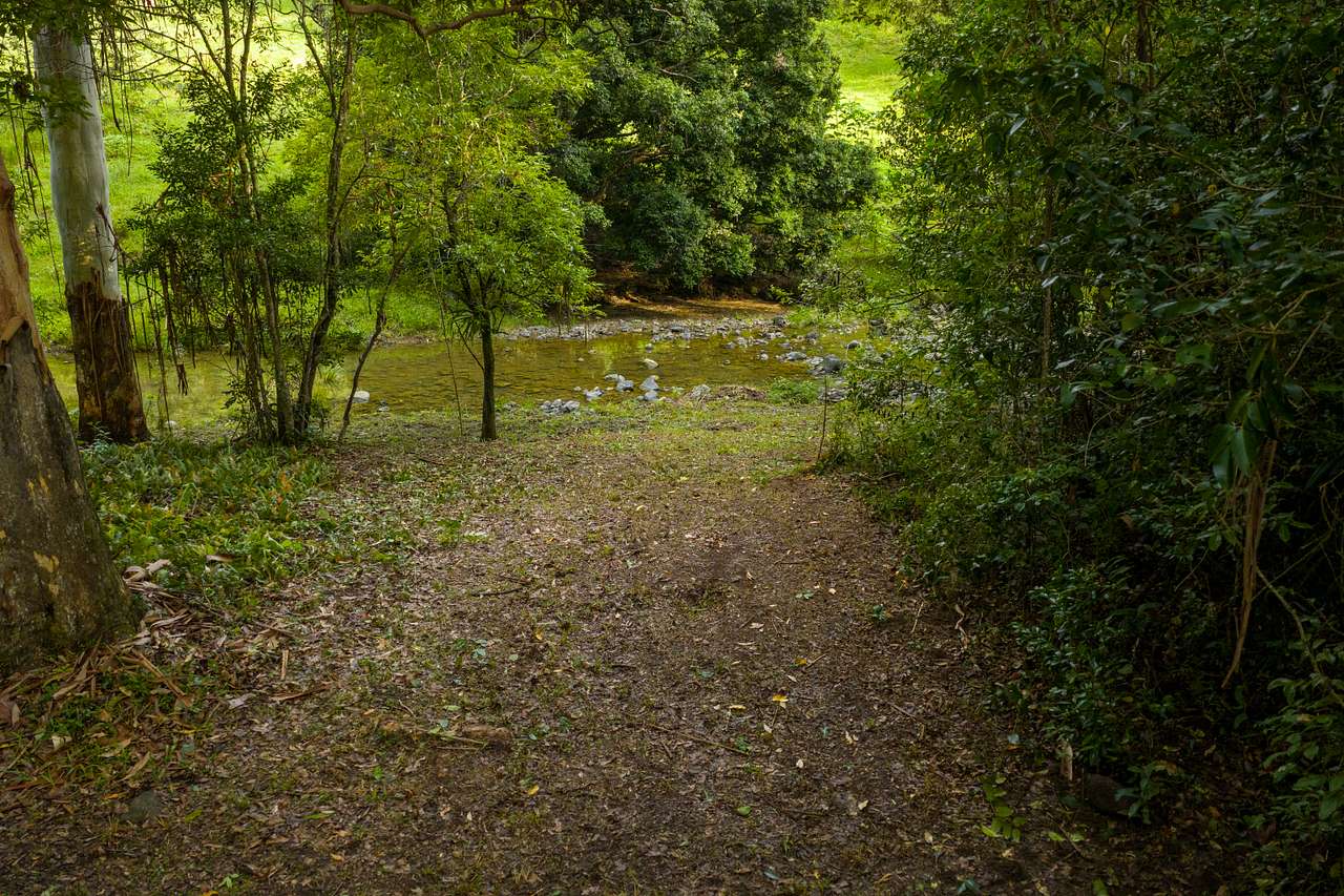 Lacrana by the Creek