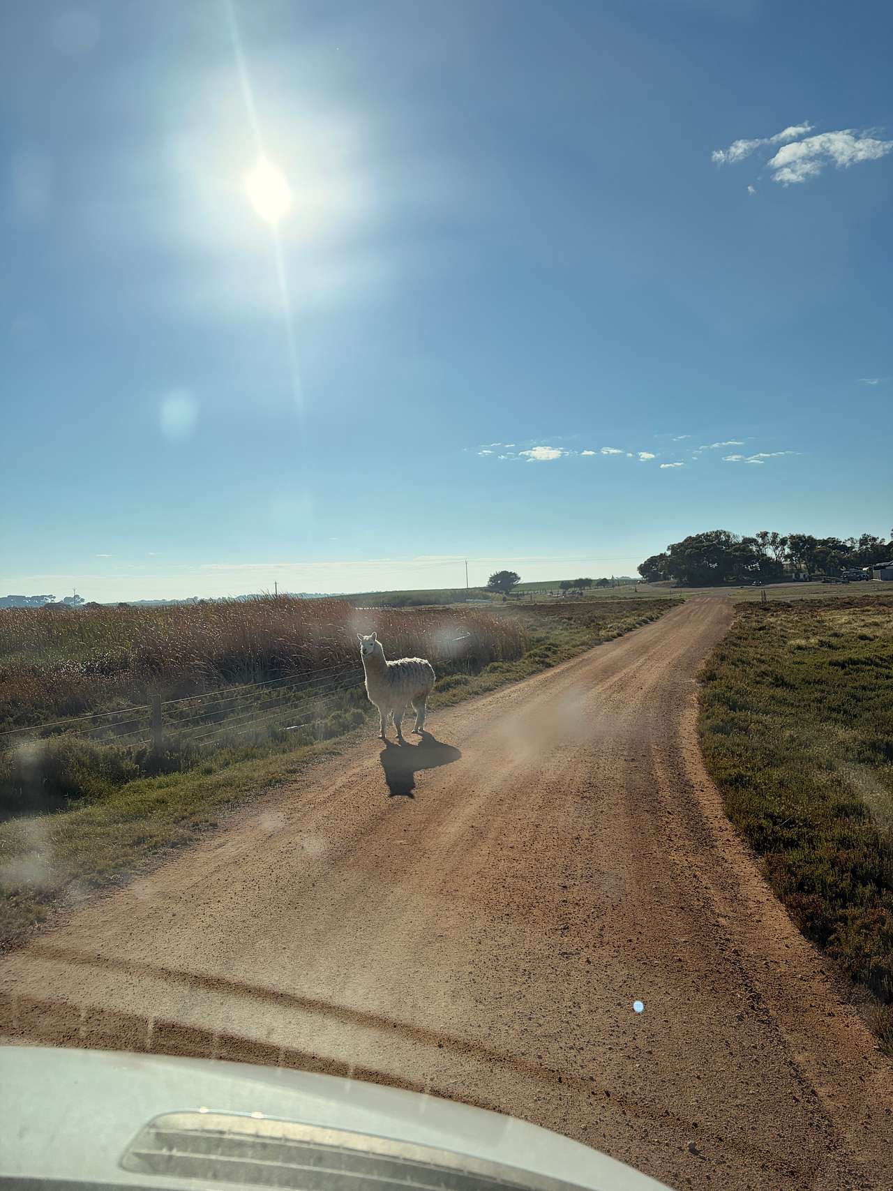 Coorong Island Retreat