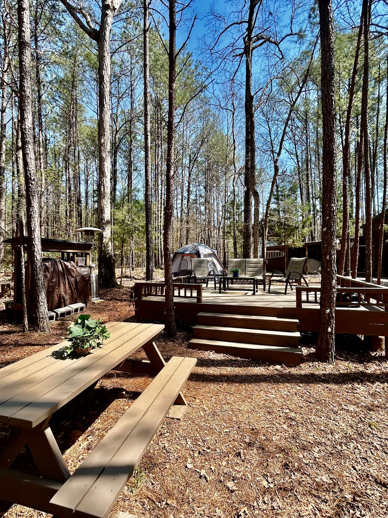 Picture of the site