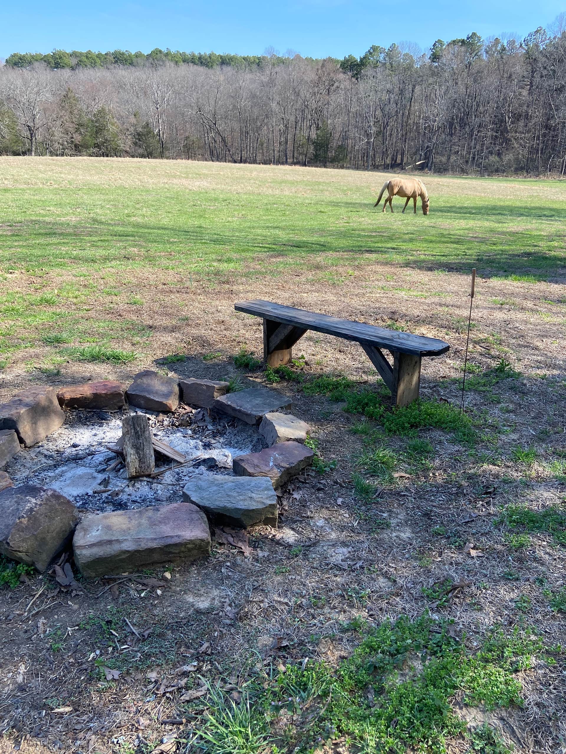 Fullerosa Horseback And Hunting