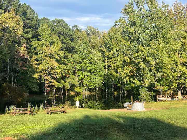 Picture of the site