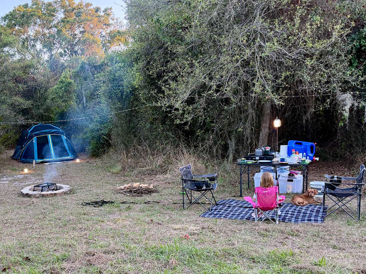 Picture of the site