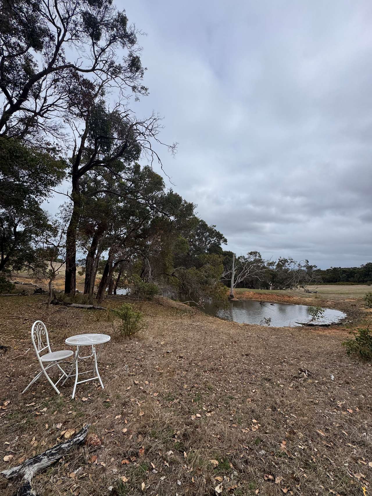 Gull Rock Farm
