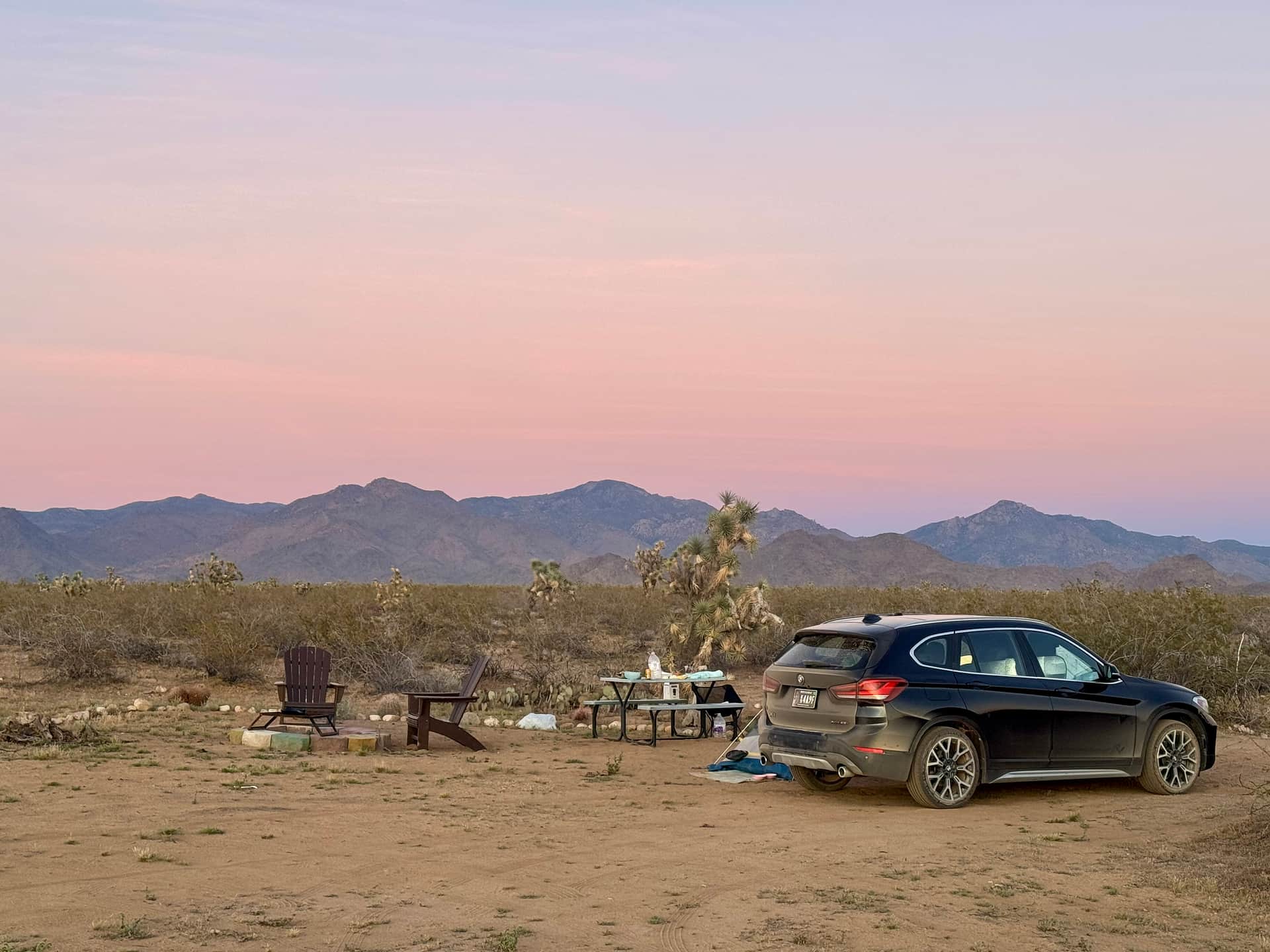 Magic in the Mojave