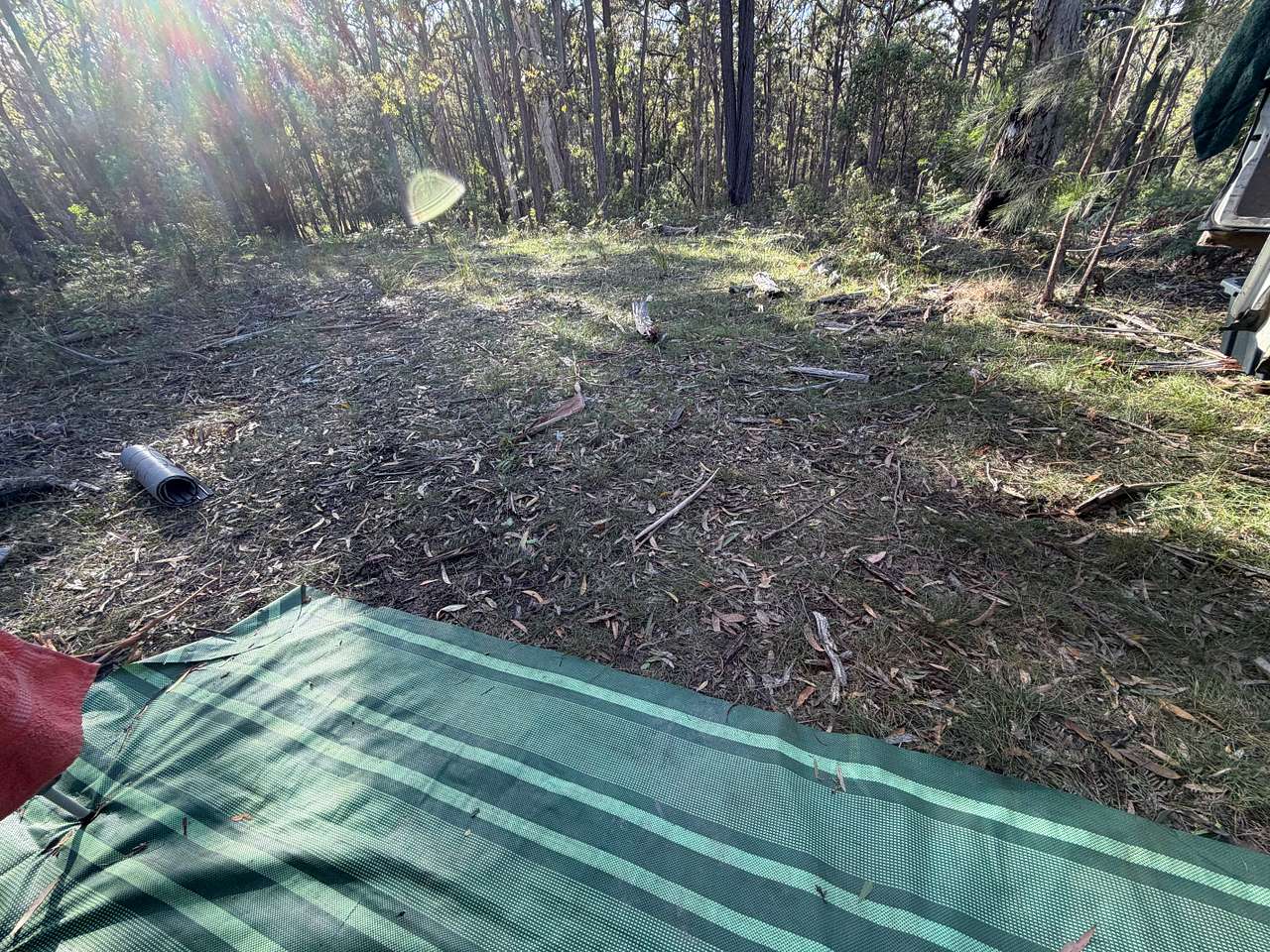 Picture of the site