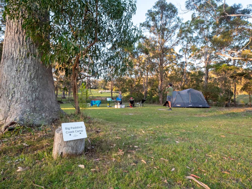 Picture of the site