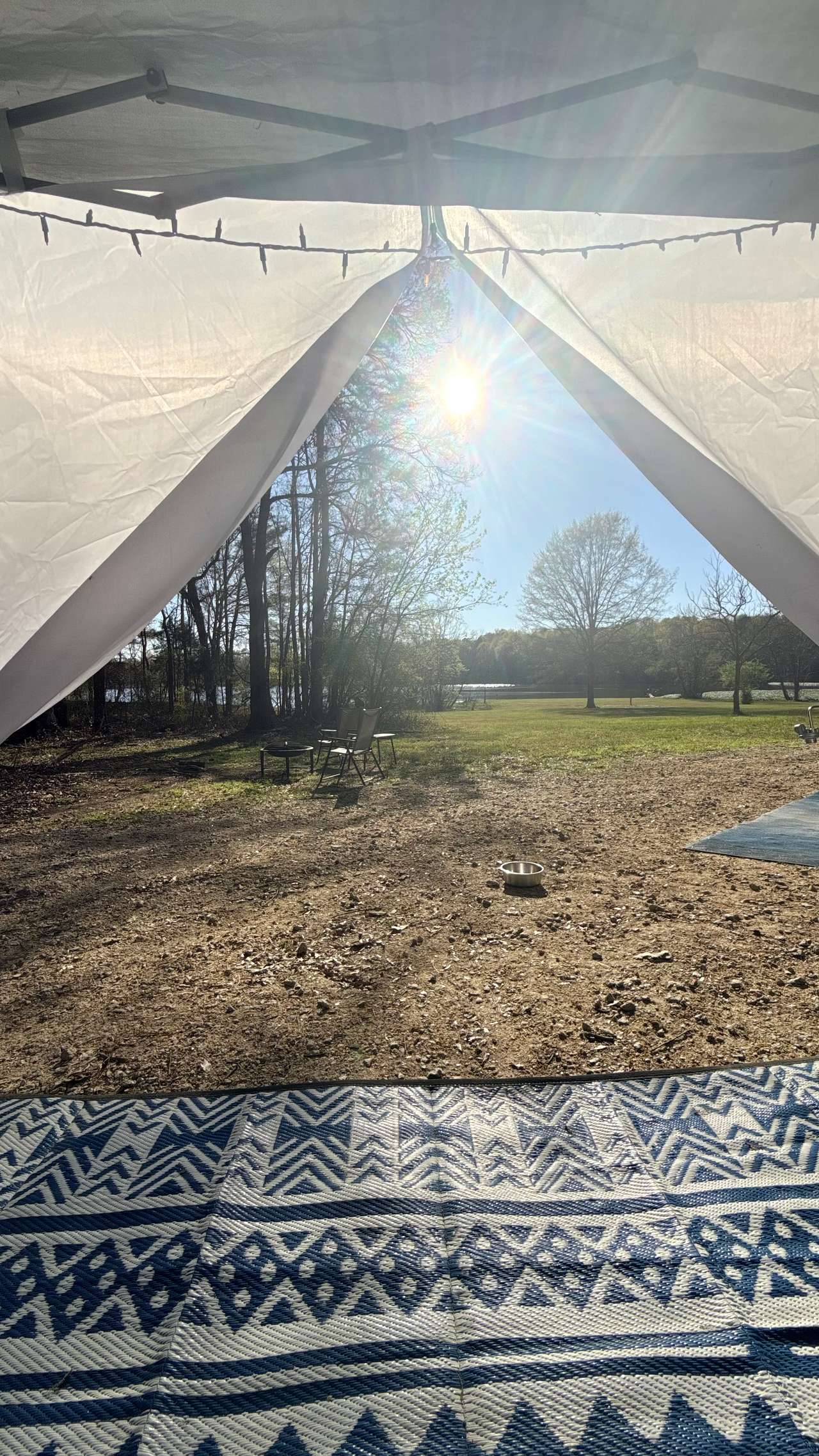 Picture of the site