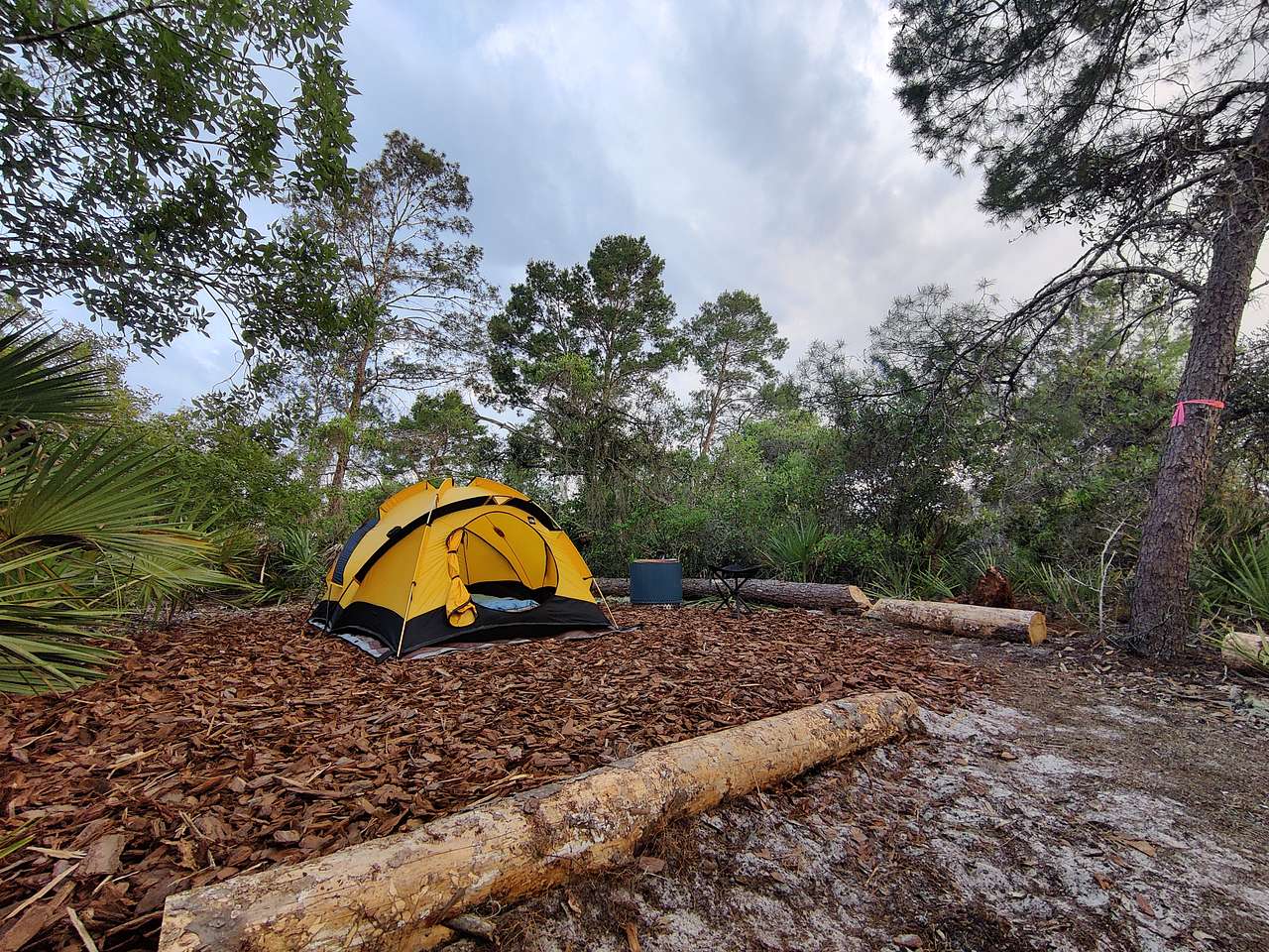 The campsite (tent not included).