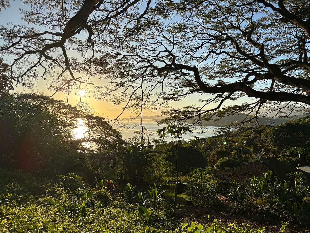 Gorgeous Views-Farm-Jungle-Ocean