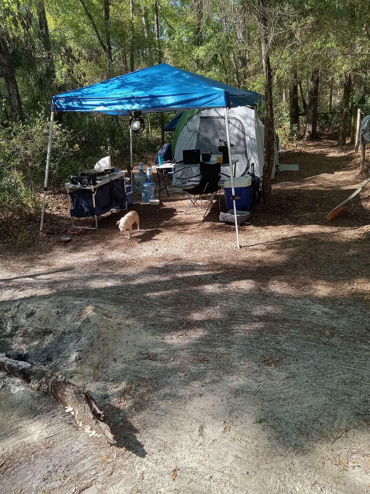 Picture of the site
