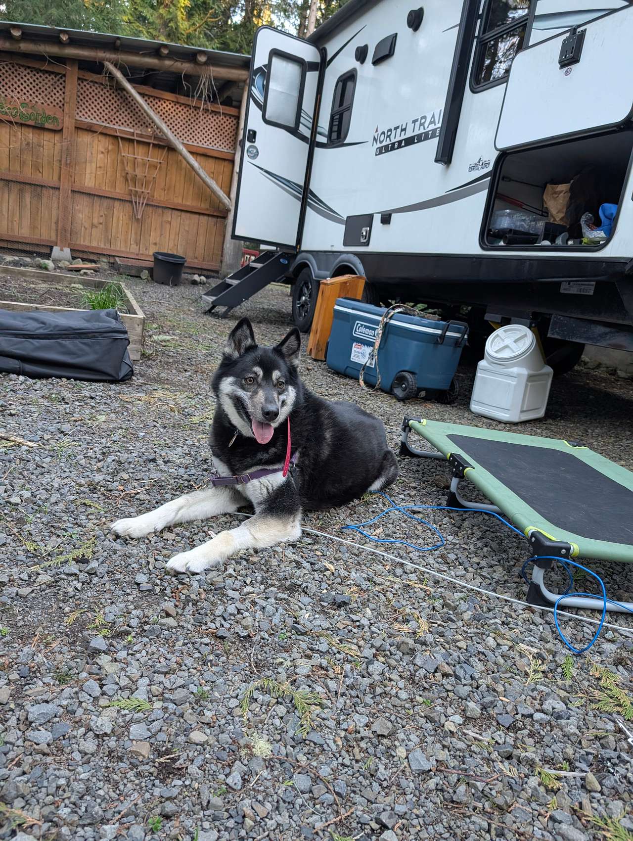 View pets photos of Mt Hood Camp Spot