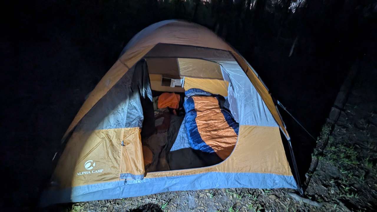Ligneous Countryside Tent Camping