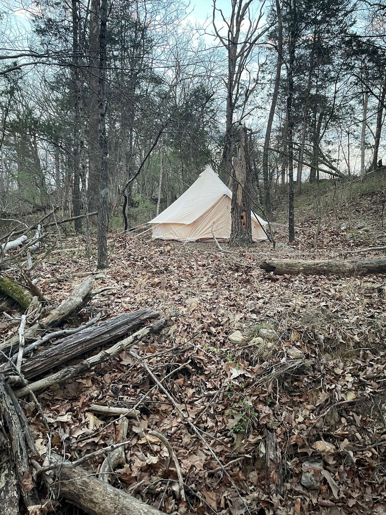 Picture of the site