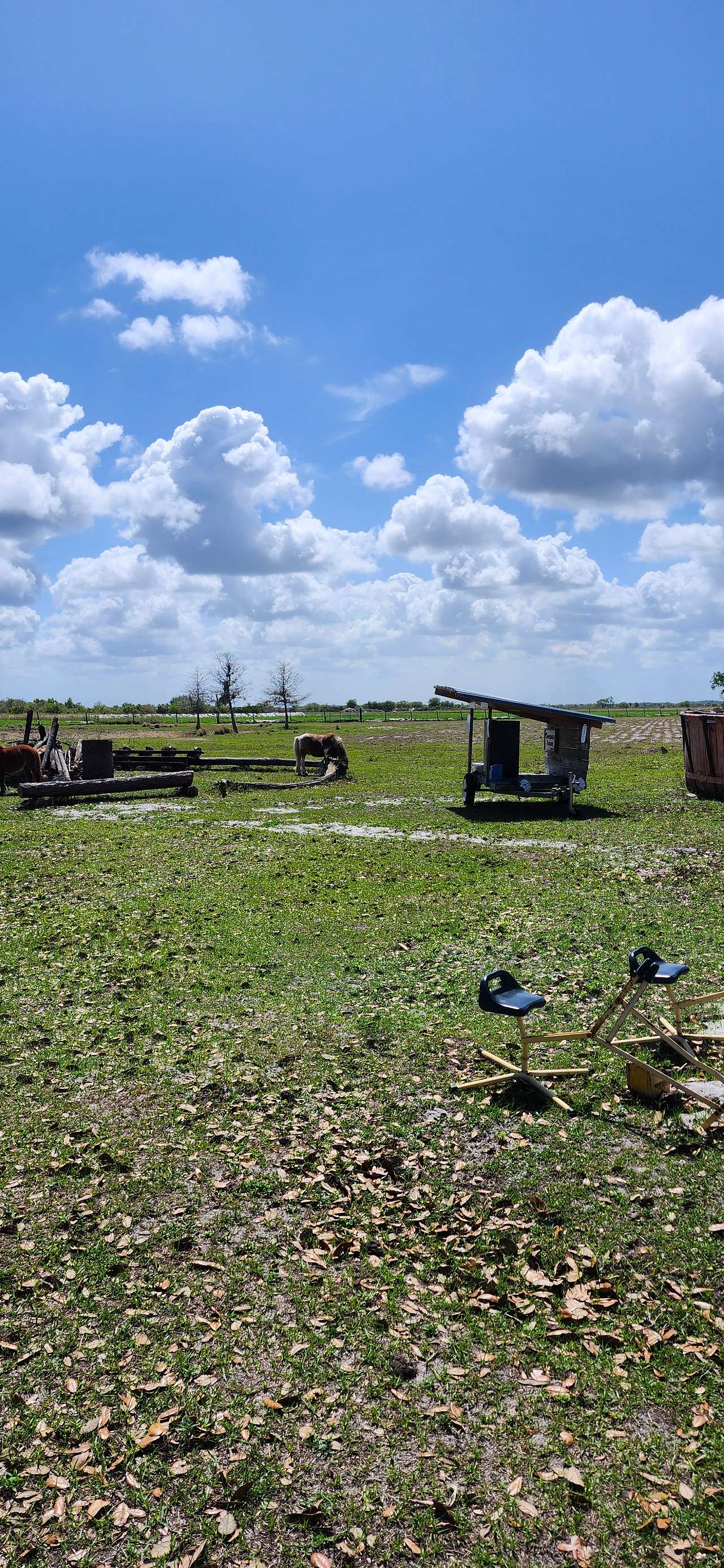 View more photos of Sweetpea's Pastures