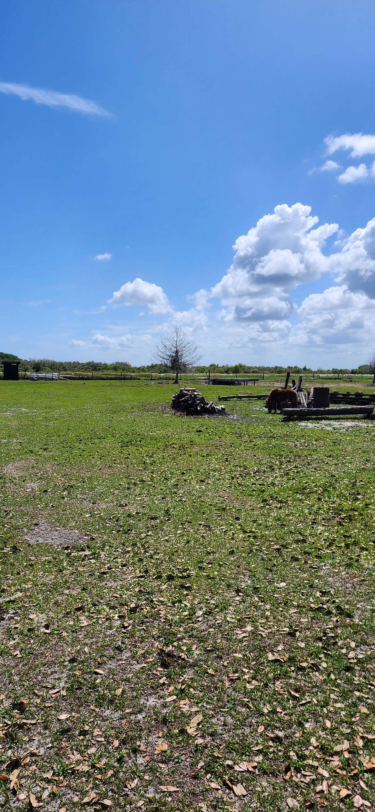 View more photos of Sweetpea's Pastures