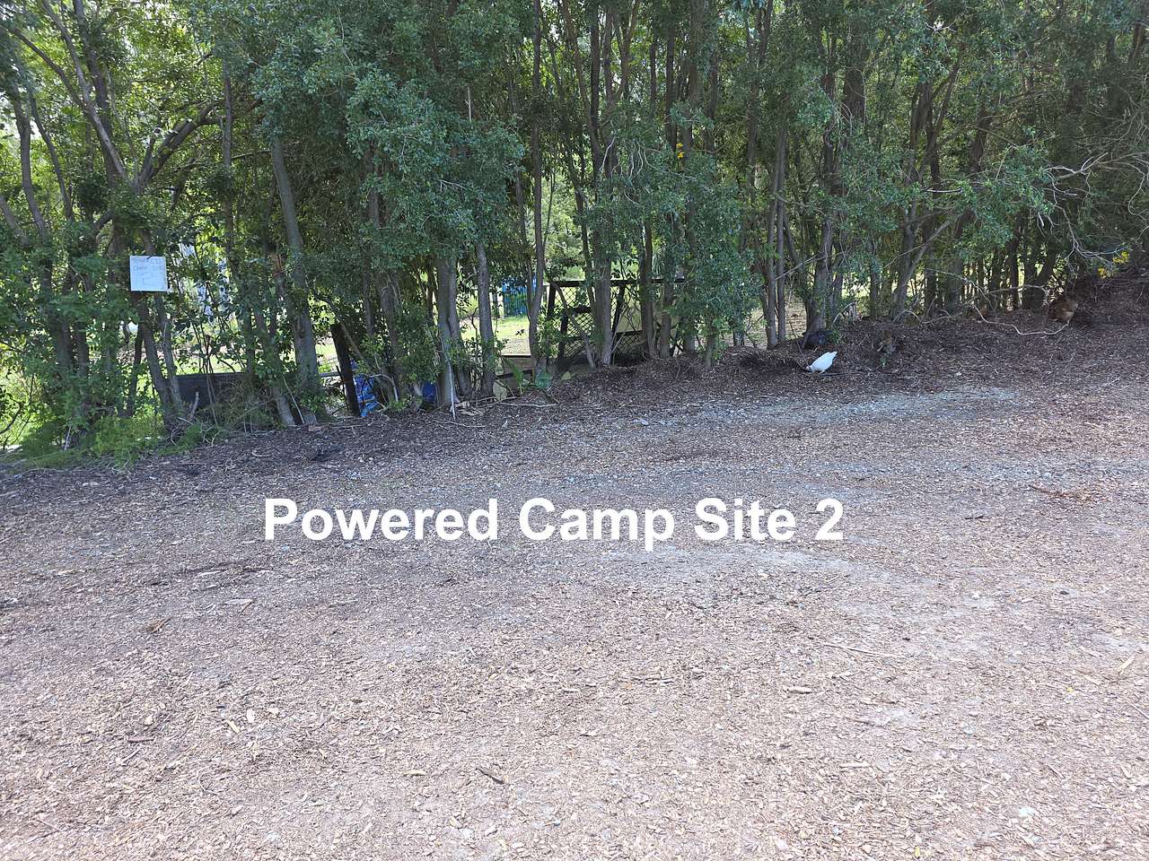 Relaxed Tamborine Village Farm Camp